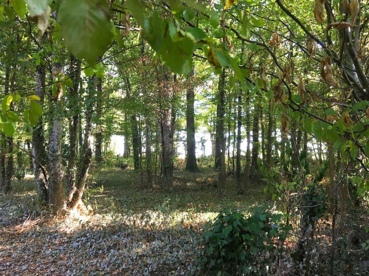 Villa Holy Wood Chuelles Exterior foto